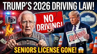 2026 DRIVING RULES ALERT! Seniors 65+ Face License Loss + $500 Fines