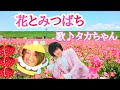 花とみつばち(郷ひろみ/8枚目シングル)ジャニーズJr.一期生〜メッツ.タカちゃん♡【歌詞付き】《2021.12.18小岩LIVE》