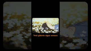 Heart on the window ♡ AMV | #anime #animeedits #animeedit #fyp #jin #bts #btsanime #aesthetic