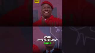 Malema's Timing: Political Takedown or Justice?