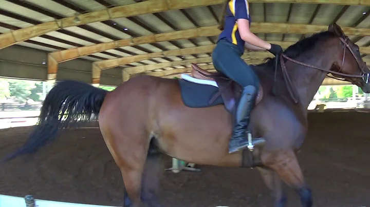 20160715 Leslie Cox Lessons