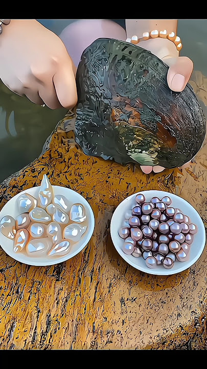 #pearl #pearloyster#pearlstone #pearlcultivation#stringofpearls #pearlstring#pearlfarming #pearltree