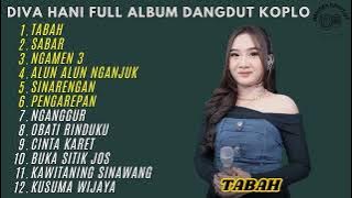 TABAH - SABAR - NGAMEN 3 - DIVA HANI FULL ALBUM TERBARU DANGDUT KOPLO 2025