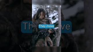 Thumbnail for Watch the Neanderthal Apocalypse - Extra Long Documentary on the Get.factual channel #documentary