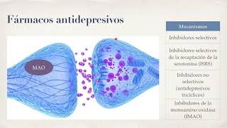 Antidepresivos y eutimizantes