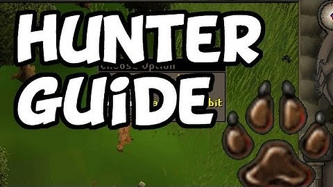 RuneScape 2007 - HUNTER Guide - Kickstart