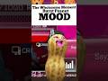 MOOD 🔥🥜🔥#theburntpeanut #theburntpeanutclips #mood #BurntPeanut #theburntpeanutclip