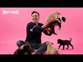 Zach Braff: The Puppy Interview