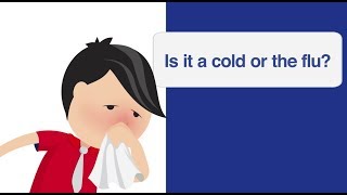 Is it a Cold or the Flu? Memorial Urgent Care Centers Help You Know