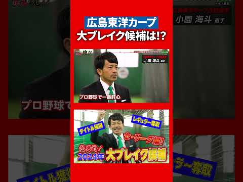 【広島東洋カープ】期待の若手からチームの“顔”へ、侍の後輩にエール