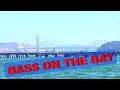 Bass on the Bay