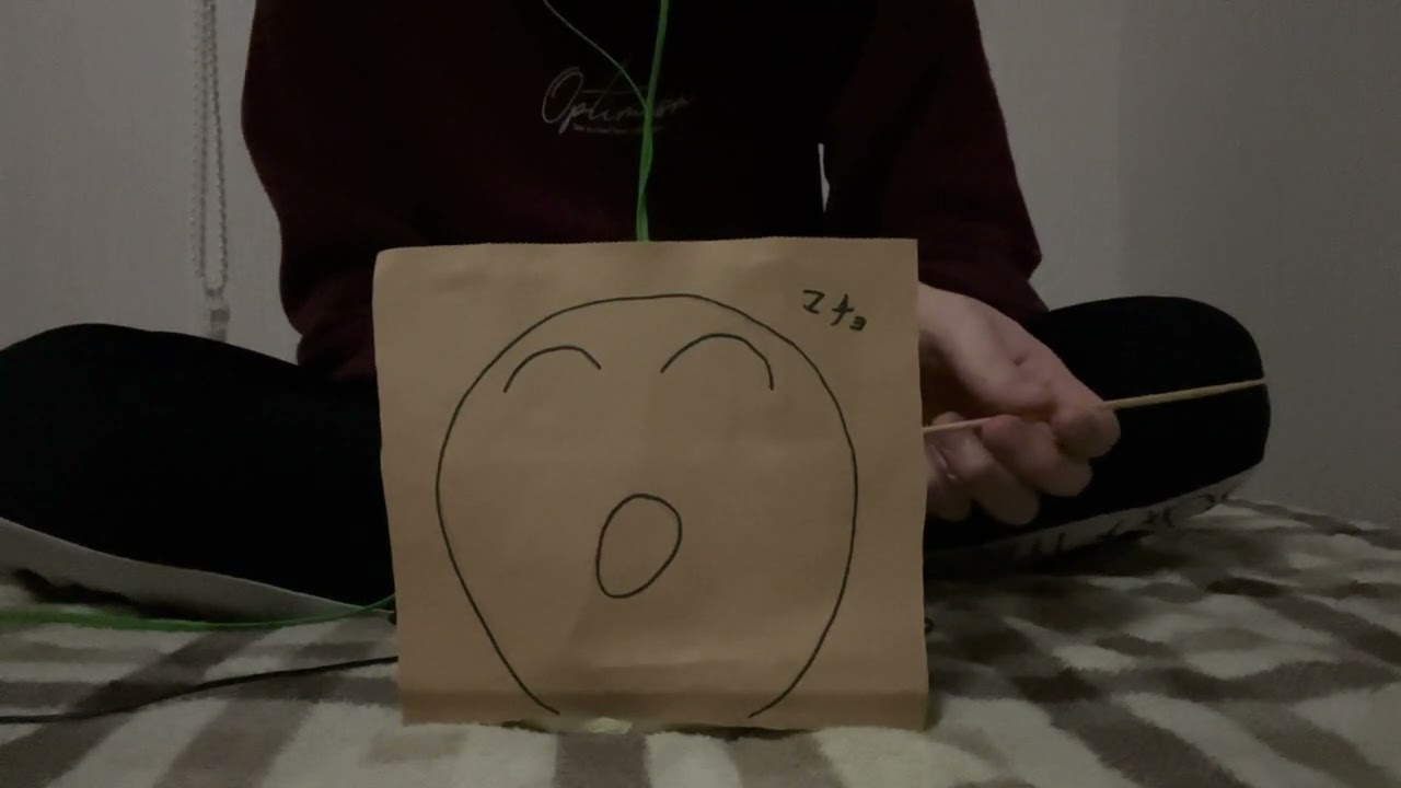 【社会人5年目のASMR】ダミヘ2号君で竹耳かき&梵天　#地声#囁き#耳かきasmr