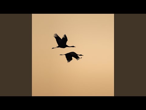 Vzpomínka - Marien (chord)