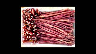 Pizzle   Dried Beef Pizzle