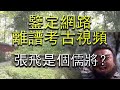 张飞其实是个书法家 鉴定网络离谱考古视频 成汉墓 张飞其实是个书法家 鉴定网络离谱考古视频 成汉墓