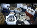 Mumbai Biggest Dry fish market/sewri Dry fish market