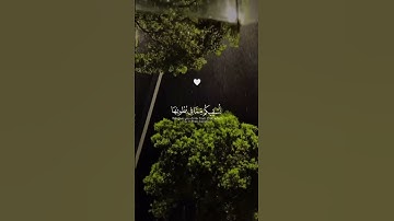 تلاوه خاشعه للشيخ ياسر الدوسري #تلاوة #تلاوة_خاشعة #قران_كريم #ياسر_الدوسري #القرآن_الكريم #قرآن