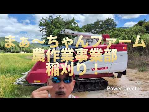 まぁちゃんふぁーむ様 まぁ〜ちゃんファーム - YouTube