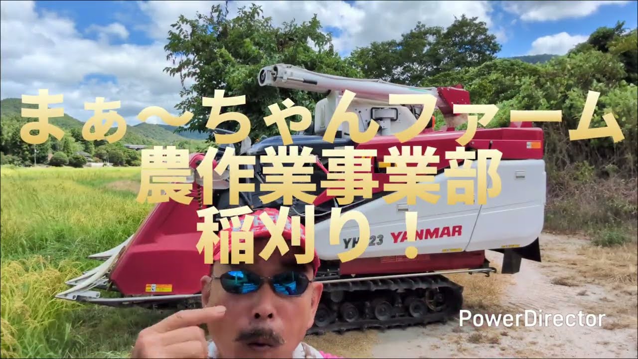 まぁ～ちゃんファーム農業事業部2026年8月25日今期初稲刈り #兼業農家