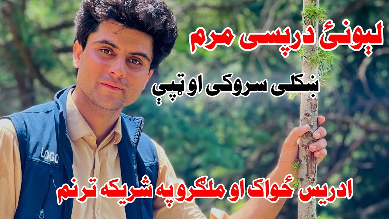 نوی ترنم درواخلئ ادریس ځواک،ذوق به مو حتمن خړوب سي 