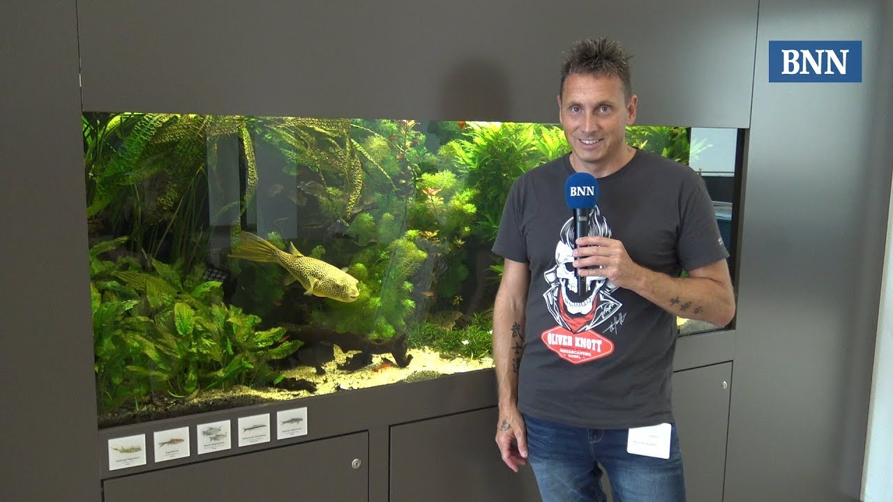 Aquascaper Oliver Knott Aus Karlsruhe You Aquascaper Oliver Knott Aus Karlsruhe
