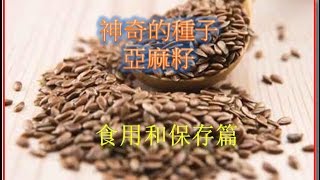 「亞麻籽」神奇的種子 食用和保存篇