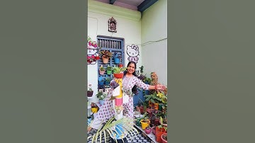 DIY Vertical Garden Tower Idea That Saves Space #diy #shorts #garden #decor #yt #ideas