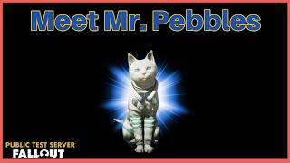 Meet Mr. Pebbles A New C.A.M.P Pet Coming Soon To Fallout 76.....