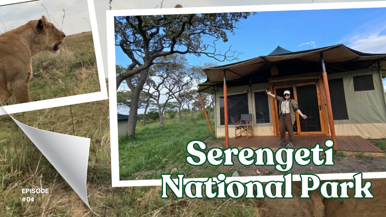 🇹🇿 [ПУТЕШЕСТВИЕ В АФРИКУ]: НАЦИОНАЛЬНЫЙ ПАРК СЕРЕНГЕТИ | ТАНЗАНИЯ | САФАРИ-ХАВЕН | ЛАГЕРЬ МИГРАЦИ...
