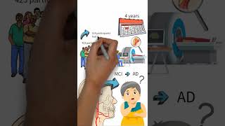 Good Blood Circulation Is Important for the Brain