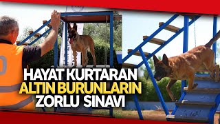 Hayat Kurtaran Altın Burunların Zorlu Sınavı