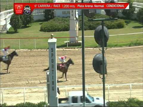 Vidéo de la course PMU PREMIO PESEBRE