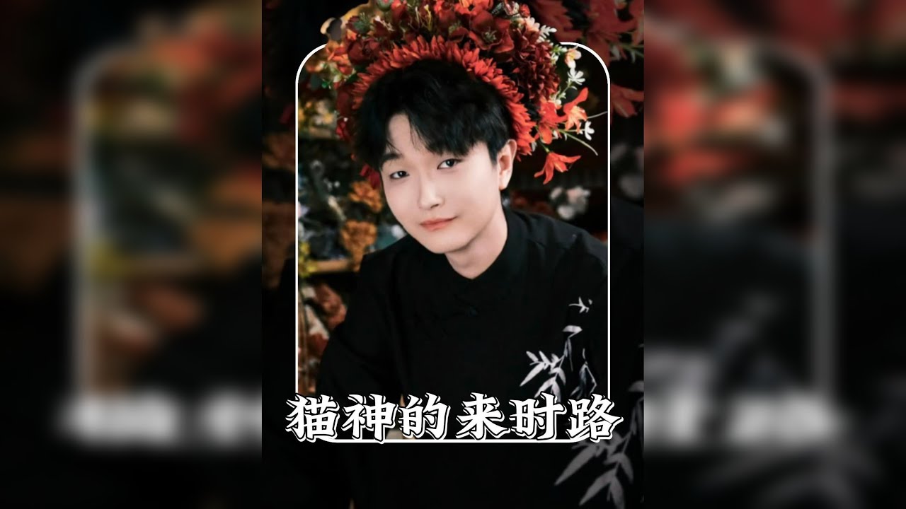 回顾cat的封神之路！ 他说出来闯闯，可走过一圈，却与之前判若两人！