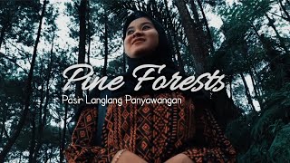 CINEMATIC VIDEO - Hutan Pinus Pasir Langlang Panyawangan #hutanpinus #cinematicpinus #cinematicvideo