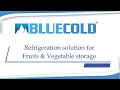 Blue cold refrigeration  temperature controlled storage solution  fruits  vegetables