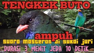 AMPUH MASTERAN TENGKEK BUTO durasi panjang jeda 10 detik #masterantengkekbuto #masteranburungmurai