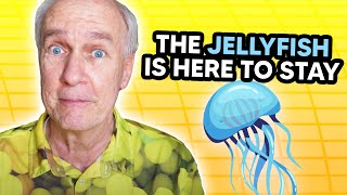 My Posterior Vitreous Detachment- The Jellyfish Is Here To Stay