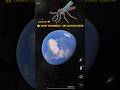 OMG I Found Giant Mosquito on Google Earth ! You Won’t Believe This #shorts #mosquito #googleearth