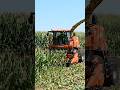 Monster Kubota Harvester in Action 🌽🔥 | Satisfying Corn Cutting Machine#Kubota#ForageHarvester