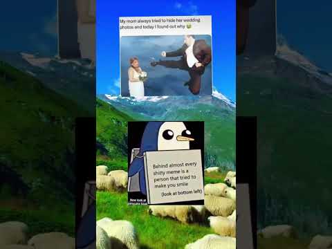 Meme Zyxabc Funnypictures Funny Memefunny 