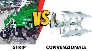 Strip Vs Convenzionale Su Mais. Chi Ha Vinto?