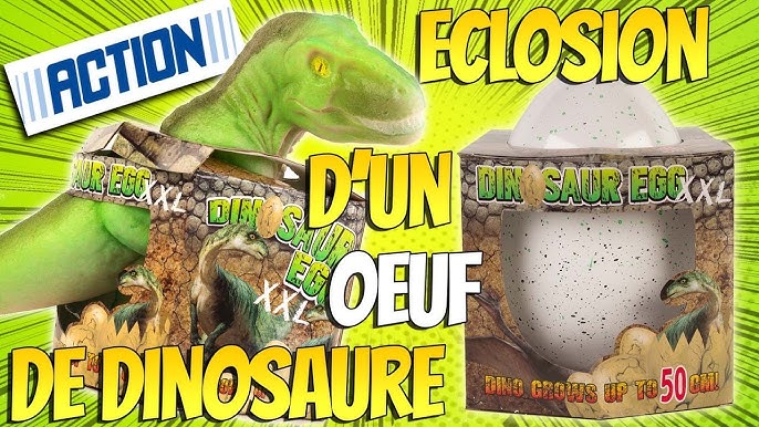 Oeuf à faire éclore - Dinosaures - Large