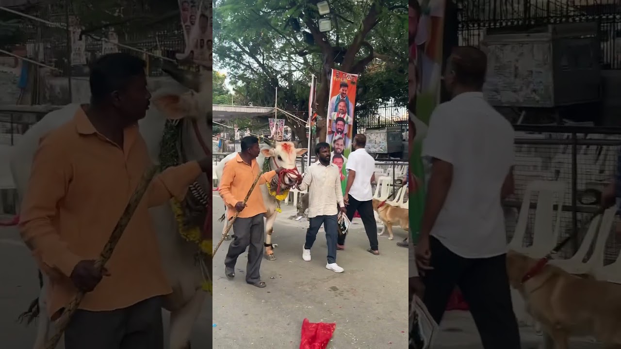 Musheerabad Sai Yadav At Sadar NTR Stadium | Sadar Yadav Festival 