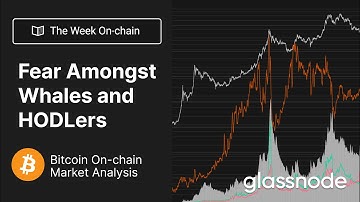 The Week On-chain: Fear Amongst Whales and HODLers - Week 47, 2022 (Bitcoin Onchain Analysis)