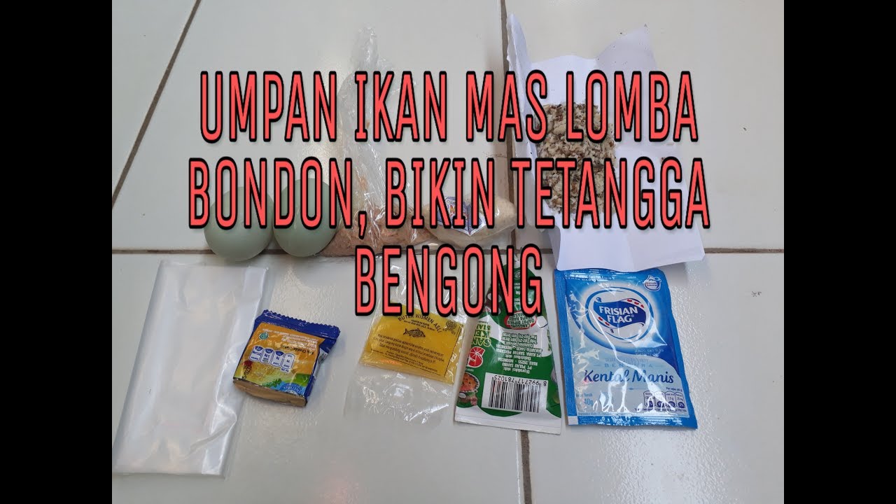 UMPAN IKAN MAS LOMBA BONDON, BIKIN TETANGGA BENGONG