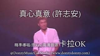 真心真意 (許志安) - 卡拉OK (精準導唱/原Key/高清音源)