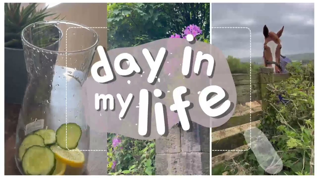 Beautiful MorninglMorning vlog l art and craft shopping | Sunny Day | ikea