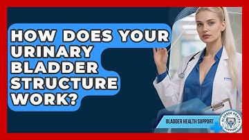 How Does Your Urinary Bladder Structure Work? - Bladder Health Support