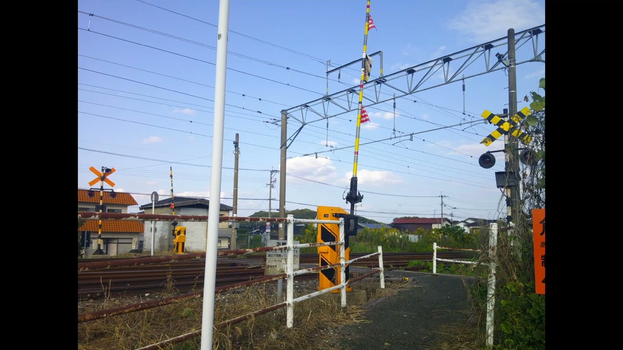 【オリジナル曲】裏山の猫(full)