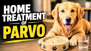 How to Recognize Parvo Warning Signs in Dogs